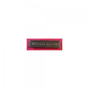 Agrafe Crash Germanwings pour Médaille Réduction et Dixmude