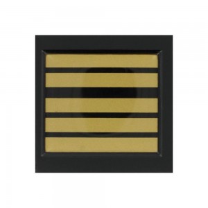 Galon de Poitrine Résine Velcro Gendarmerie Mobile ou GR - Colonel