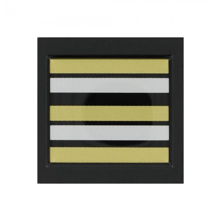 Galon de Poitrine Résine Velcro Gendarmerie Mobile ou GR - Lieutenant-Colonel