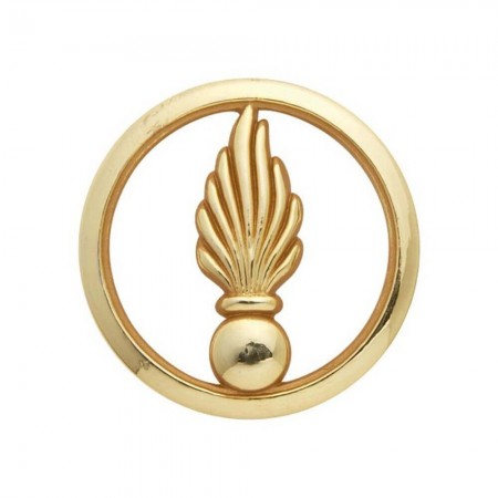 Insigne de Béret Or Cadre Spécial