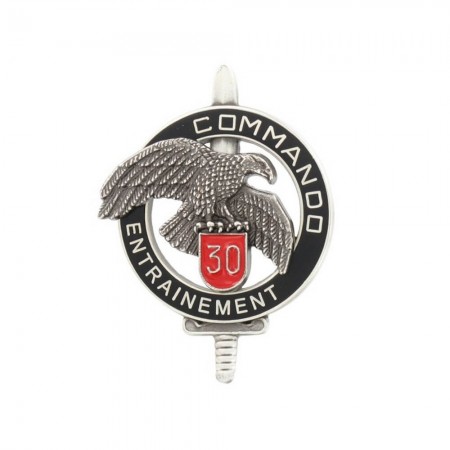 Insigne de Poitrine Métal Brevet CEC 30