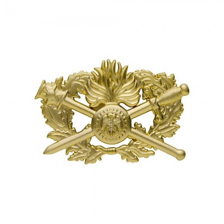 Insigne de Poitrine Métal Brevet Corps de Soutien Technique Administratif 2e Niveau