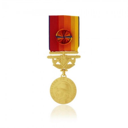 Médaille d'Honneur Sapeurs-Pompiers pour Services Exceptionnels - Grade Or