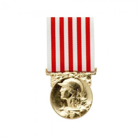 Médaille Ordonnance Commémorative 14/18