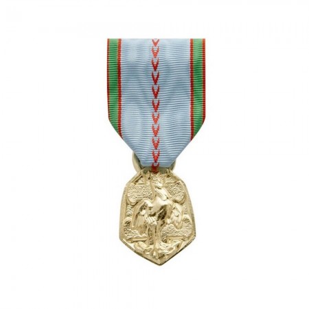 Médaille Ordonnance Commémorative 39/45