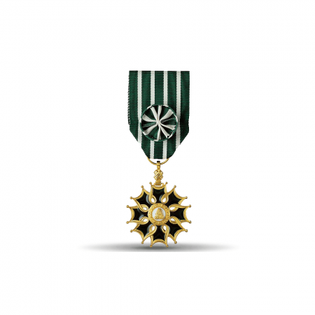 Médaille Ordonnance Ordre des Arts et des Lettres - Officier