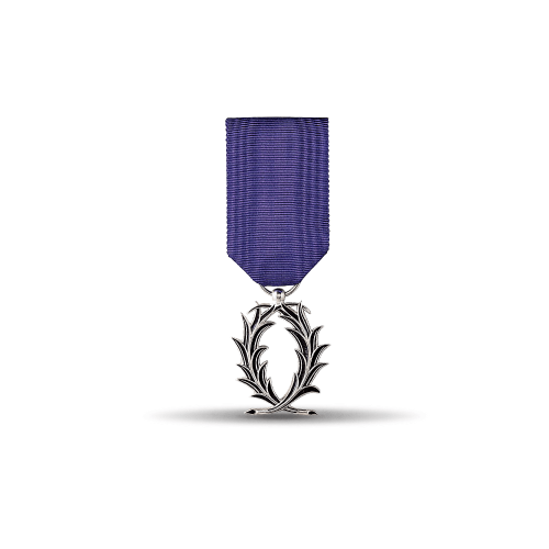 Médaille Ordonnance Palmes Académiques - Chevalier