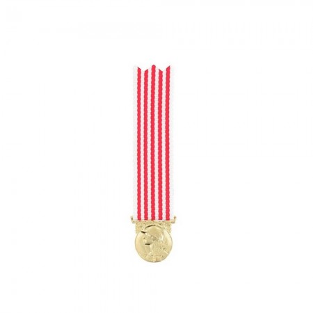 Médaille Réduction Commémorative 14/18