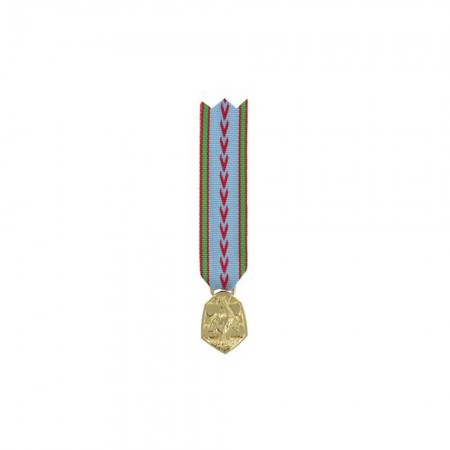 Médaille Réduction Commémorative 39/45