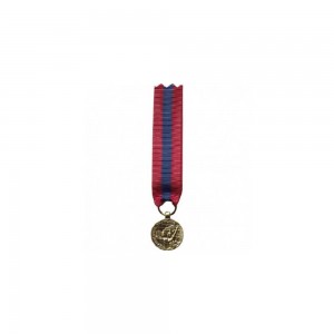 Médaille Réduction Défense Nationale - Bronze