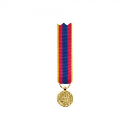 Médaille Réduction Défense Nationale - Or
