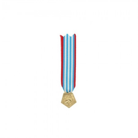 Médaille Réduction Déporté Résistance
