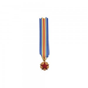 Médaille Réduction des Blessés Militaires
