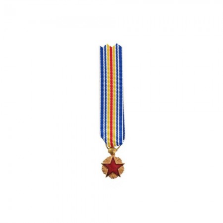 Médaille Réduction des Blessés Militaires
