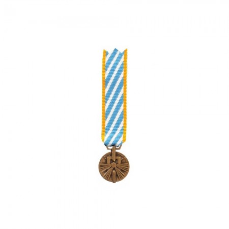 Médaille Réduction Interné Politique