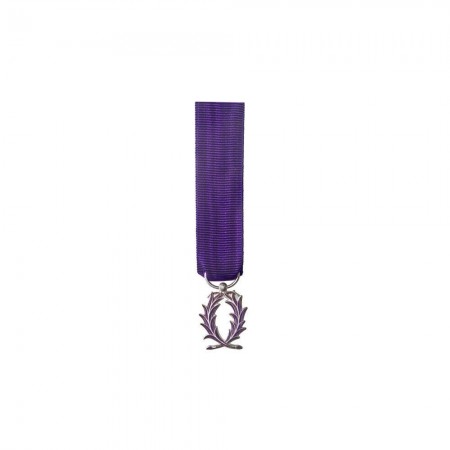 Médaille Réduction Palmes Académiques - Chevalier