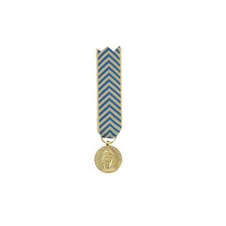 Médaille Réduction Reconnaissance de la Nation (TRN)