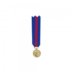 Médaille Réduction SMV (Service Militaire Volontaire) - Bronze