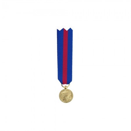 Médaille Réduction SMV (Service Militaire Volontaire) - Bronze