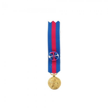 Médaille Réduction SMV (Service Militaire Volontaire) - Or