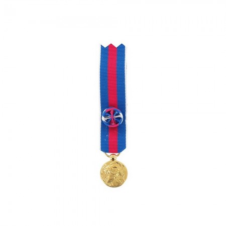 Médaille Réduction SMV (Service Militaire Volontaire) - Or