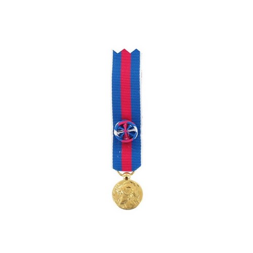 Médaille Réduction SMV (Service Militaire Volontaire) - Or