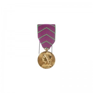 Médaille Ordonnance Civile Protection Judiciaire de la jeunesse.Bronze