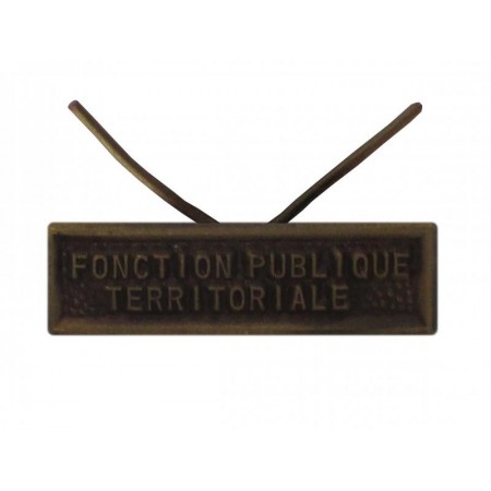 Agrafe Fonction Publique Territoriale pour Médaille Réduction et Dixmude