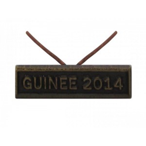Agrafe Guinée 2014 pour Médaille Réduction et Dixmude