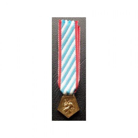 Médaille Réduction Interné Résistance