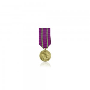 Médaille d'honneur des Services Judiciaires- Ordonnance Bronze