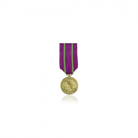 Médaille d'honneur des Services Judiciaires- Ordonnance Bronze