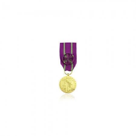 Médaille d'Honneur des Services Judiciaires Ordonnance-or