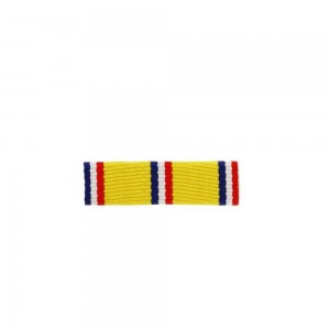 Barrette Dixmude Sapeurs-Pompiers 10 ans Échelon Bronze Montée sur Epingle