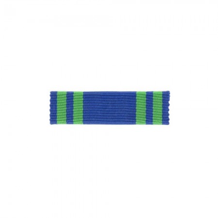 Barrette Dixmude de l'Ordre du Mérite Maritime Montée sur Epingle