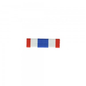 Barrette Dixmude Protection Militaire du Territoire Montée sur Epingle