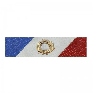 Barrette Dixmude Sécurité Intérieure MSI Or Montée sur Epingle