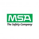 MSA